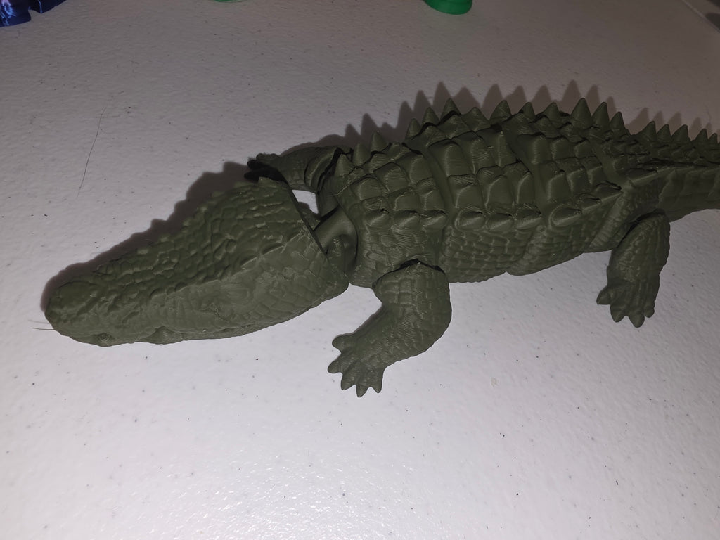 Articulated Alligator